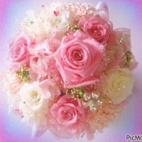 Christine vendeuse Stanhome