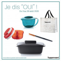 Amelie vendeuse Tupperware