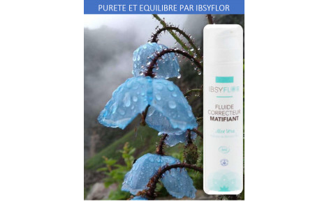 FLUIDE CORRECTEUR MATIFIANT