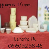 Catherine vendeuse Tupperware