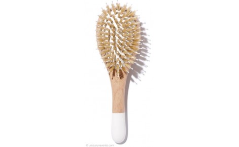 BACHCA Brosse cheveux poils sanglier